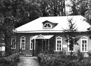 TolstoiFligel