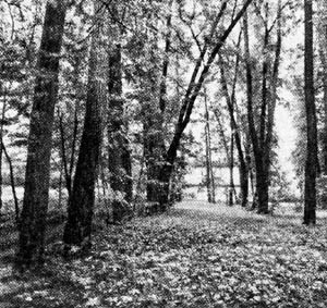 TolstoiPark
