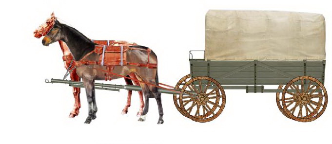 Povozka parokonnaya 1a
