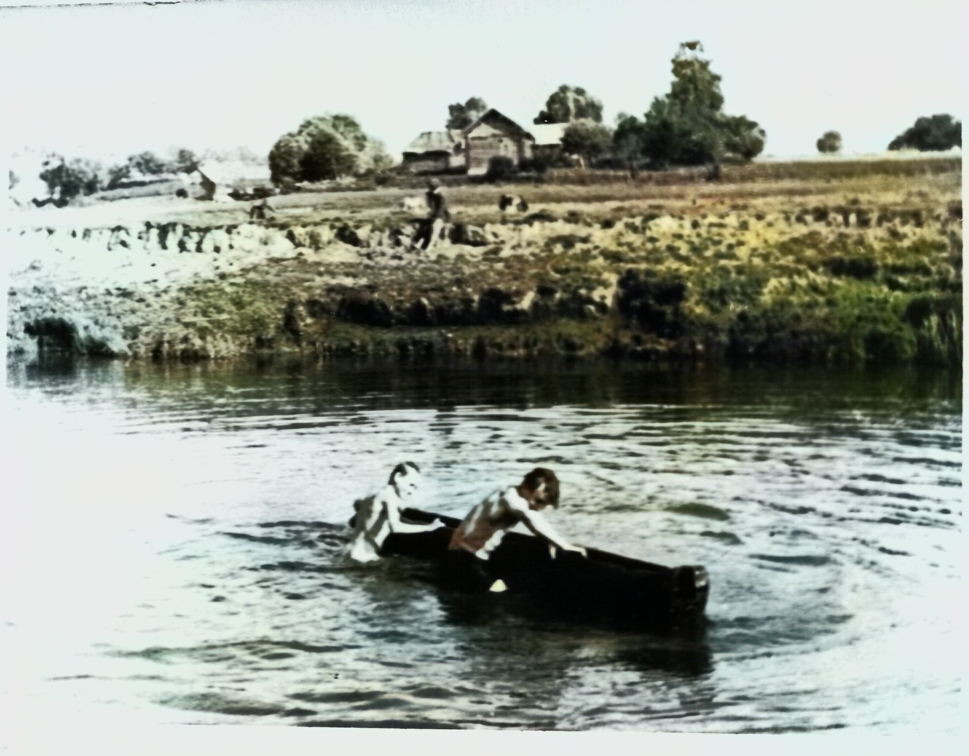 Vir Voronusa c1